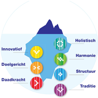 Drijfveren MyDrives kleurenanalyse